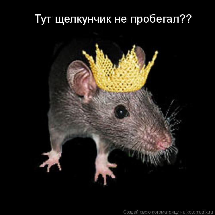 Тут щелкунчик не пробегал??... Котоматрица: Тут щелкунчик не пробегал??