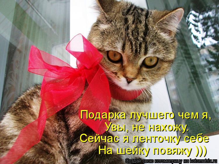 Подарка лучшего чем я, Увы, не нахожу. Сейчас я ленточку себе На шейку повяжу )))... Котоматрица: Подарка лучшего чем я, Увы, не нахожу. Сейчас я ленточку себе На шейку повяжу )))