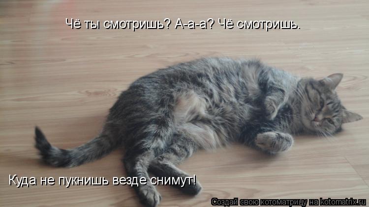 Чё ты смотришь? А-а-а? Чё смотришь. Куда не пукнишь везде снимут!... Котоматрица: Чё ты смотришь? А-а-а? Чё смотришь. Куда не пукнишь везде снимут!