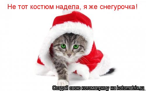 Не тот костюм надела, я же снегурочка!... Котоматрица: Не тот костюм надела, я же снегурочка!