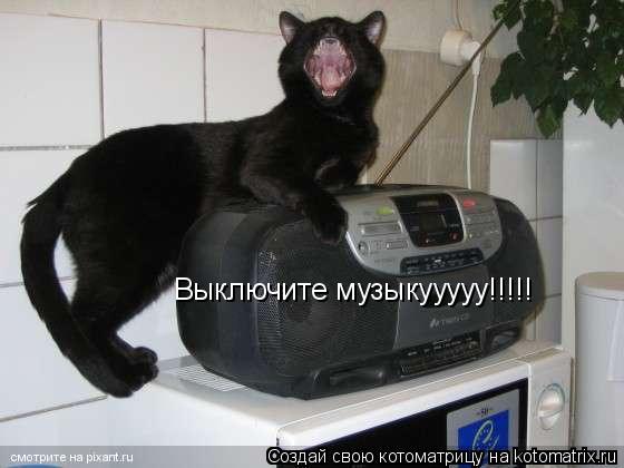 Выключите музыкууууу!!!!!... Котоматрица: Выключите музыкууууу!!!!!