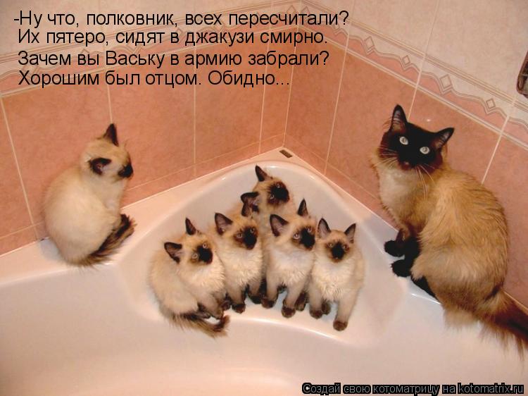 -Ну что, полковник, всех пересчитали? Зачем вы Ваську в армию забрали? Их пятеро, сидят в джакузи сми... Котоматрица: -Ну что, полковник, всех пересчитали? Зачем вы Ваську в армию забрали? Их пятеро, сидят в джакузи смирно. Хорошим был отцом. Обидно...