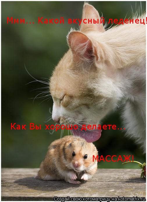 Ммм... Какой вкусный леденец! Как Вы хорошо делаете... МАССАЖ!... Котоматрица: Ммм... Какой вкусный леденец! Как Вы хорошо делаете... МАССАЖ!