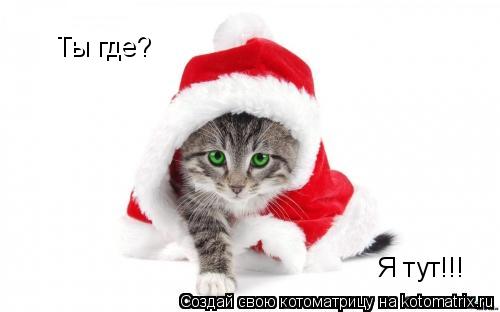 Ты где? Я тут!!!... Котоматрица: Ты где? Я тут!!!