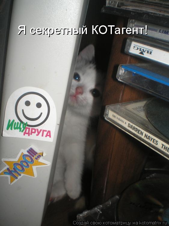 Я секретный КОТагент!... Котоматрица: Я секретный КОТагент!