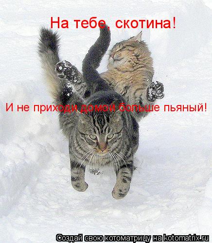 На тебе, скотина! И не приходи домой больше пьяный!... Котоматрица: На тебе, скотина! И не приходи домой больше пьяный!