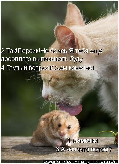 1.Мамочки. 2.Так!Персик!Не боись.Я тебя ещё дооолллго вылизывать буду 3.А чччччто потом? 4.Глупый воп... Котоматрица: 1.Мамочки. 2.Так!Персик!Не боись.Я тебя ещё дооолллго вылизывать буду 3.А чччччто потом? 4.Глупый вопрос!Съем конечно!