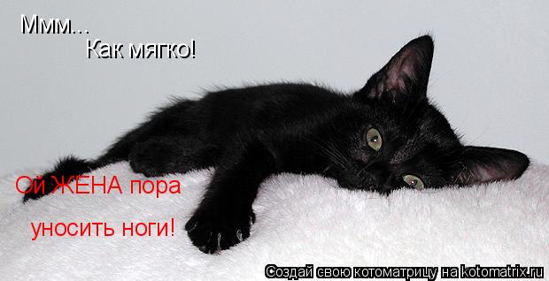 Ммм... Как мягко! Ой ЖЕНА пора уносить ноги!... Котоматрица: Ммм... Как мягко! Ой ЖЕНА пора уносить ноги!