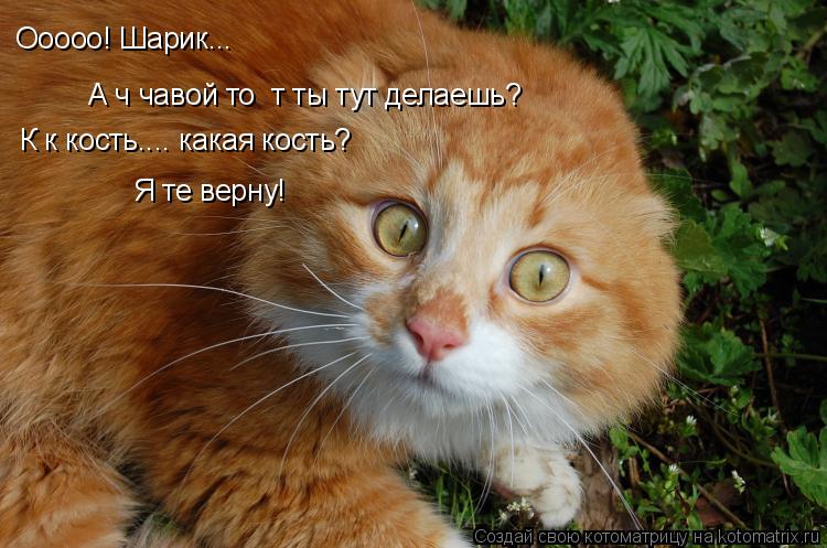 Ооооо! Шарик... А ч чавой то т ты тут делаешь? К к кость.... какая кость? Я те верну!... Котоматрица: Ооооо! Шарик... А ч чавой то т ты тут делаешь? К к кость.... какая кость? Я те верну!