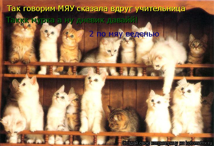 Так говорим МЯУ сказала вдруг учительница Таккк мурка а ну дневик давайй! 2 по мяу веденью... Котоматрица: Так говорим МЯУ сказала вдруг учительница Таккк мурка а ну дневик давайй! 2 по мяу веденью