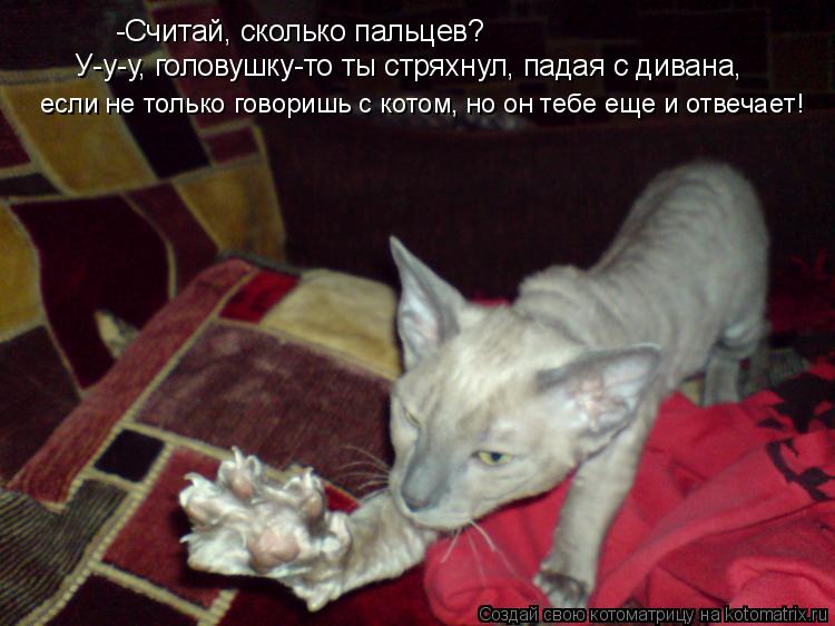 -Считай, сколько пальцев? У-у-у, головушку-то ты стряхнул, падая с дивана, если не только говоришь с ... Котоматрица: -Считай, сколько пальцев? У-у-у, головушку-то ты стряхнул, падая с дивана, если не только говоришь с котом, но он тебе еще и отвечает!