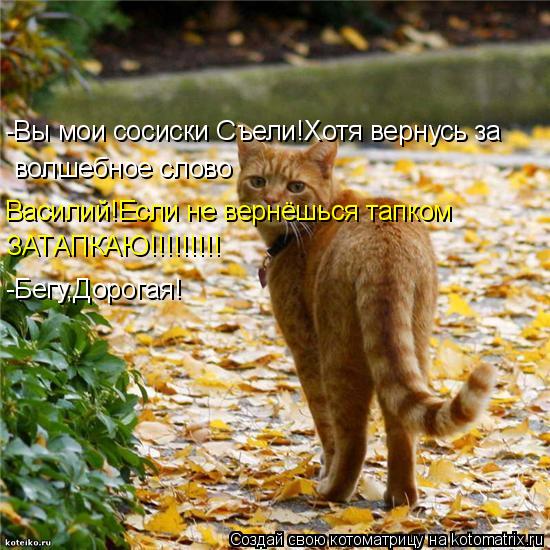 -Вы мои сосиски Съели!Хотя вернусь за волшебное слово Василий!Если не вернёшься тапком ЗАТАПКАЮ!!!!!!... Котоматрица: -Вы мои сосиски Съели!Хотя вернусь за волшебное слово Василий!Если не вернёшься тапком ЗАТАПКАЮ!!!!!!!!! -Бегу,Дорогая!