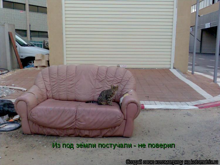 Из под земли постучали - не поверил... Котоматрица: Из под земли постучали - не поверил