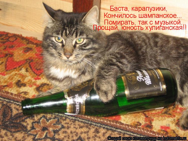 Баста, карапузики, Кончилось шампанское... Помирать, так с музыкой... Прощай, юность хулиганская!!... Котоматрица: Баста, карапузики, Кончилось шампанское... Помирать, так с музыкой... Прощай, юность хулиганская!!