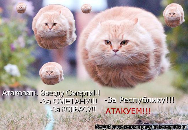 Атаковать Звезду Смерти!!! -За СМЕТАНУ!!! -За КОЛБАСУ!!! -За Республику!!! АТАКУЕМ!!!... Котоматрица: Атаковать Звезду Смерти!!! -За СМЕТАНУ!!! -За КОЛБАСУ!!! -За Республику!!! АТАКУЕМ!!!