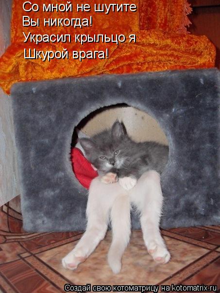 Со мной не шутите Вы никогда! Украсил крыльцо я Шкурой врага!... Котоматрица: Со мной не шутите Вы никогда! Украсил крыльцо я Шкурой врага!