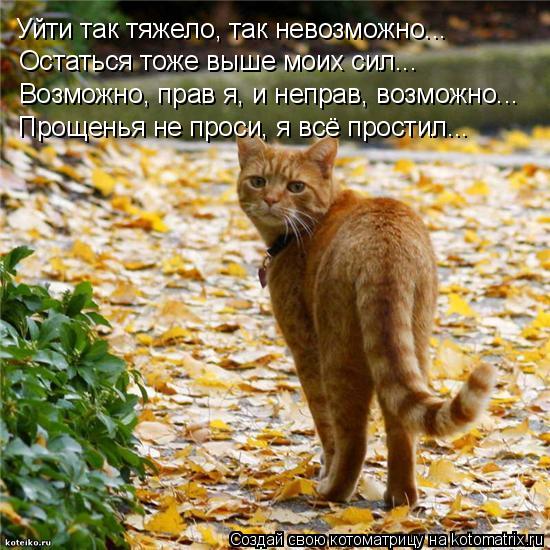 Уйти так тяжело, так невозможно... Остаться тоже выше моих сил... Возможно, прав я, и неправ, возможн... Котоматрица: Уйти так тяжело, так невозможно... Остаться тоже выше моих сил... Возможно, прав я, и неправ, возможно... Прощенья не проси, я всё простил...