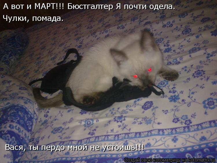 А вот и МАРТ!!! Бюстгалтер Я почти одела. Чулки, помада. ВАСЯ ты передо мнеой не устоишь!!! А вот и М... Котоматрица: А вот и МАРТ!!! Бюстгалтер Я почти одела. Чулки, помада. ВАСЯ ты передо мнеой не устоишь!!! А вот и МАРТ!!! Бюстгалтер Я почти одела. Чулки, помад