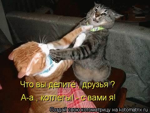 Что вы делите , друзья ? А-а , котлеты! - с вами я!... Котоматрица: Что вы делите , друзья ? А-а , котлеты! - с вами я!