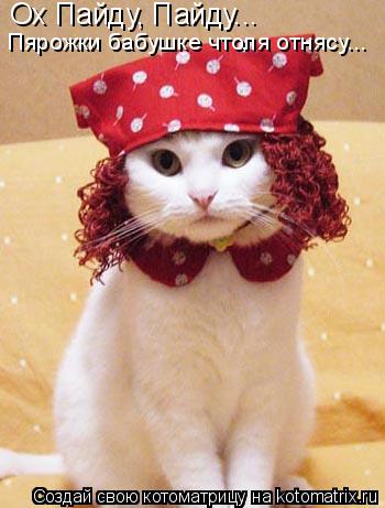 Ох Пайду, Пайду... Пярожки бабушке чтоля отнясу...... Котоматрица: Ох Пайду, Пайду... Пярожки бабушке чтоля отнясу...