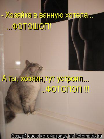 - Хозяйка в ванную хотела... ...ФОТОШОП! А ты, хозяин,тут устроил... ..ФОТОПОП !!!... Котоматрица: - Хозяйка в ванную хотела... ...ФОТОШОП! А ты, хозяин,тут устроил... ..ФОТОПОП !!!