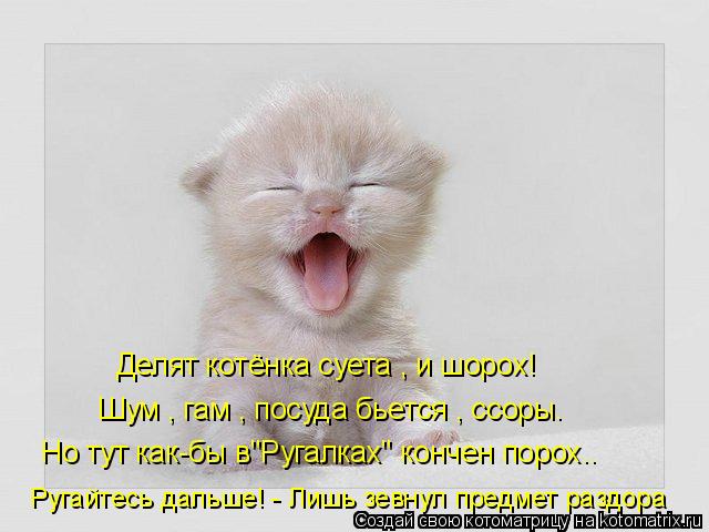 Делят котёнка суета , и шорох! Шум , гам , посуда бьется , ссоры. Но тут как-бы в"Ругалках" кончен по... Котоматрица: Делят котёнка суета , и шорох! Шум , гам , посуда бьется , ссоры. Но тут как-бы в"Ругалках" кончен порох.. Ругайтесь дальше! - Лишь зевнул предмет