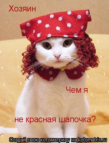 Хозяин Чем я не красная шапочка?... Котоматрица: Хозяин Чем я не красная шапочка?
