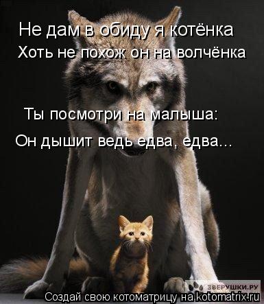 Не дам в обиду я котёнка Хоть не похож он на волчёнка Ты посмотри на малыша: Он дышит ведь едва, едва... Котоматрица: Не дам в обиду я котёнка Хоть не похож он на волчёнка Ты посмотри на малыша: Он дышит ведь едва, едва...