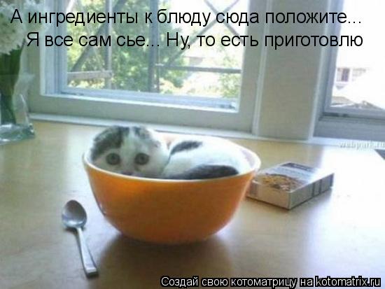 А ингредиенты к блюду сюда положите... Я все сам сье... Ну, то есть приготовлю... Котоматрица: А ингредиенты к блюду сюда положите... Я все сам сье... Ну, то есть приготовлю