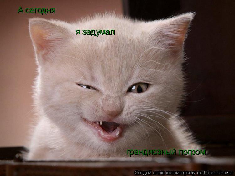 А сегодня я задумал грандиозный погром... Котоматрица: А сегодня я задумал грандиозный погром