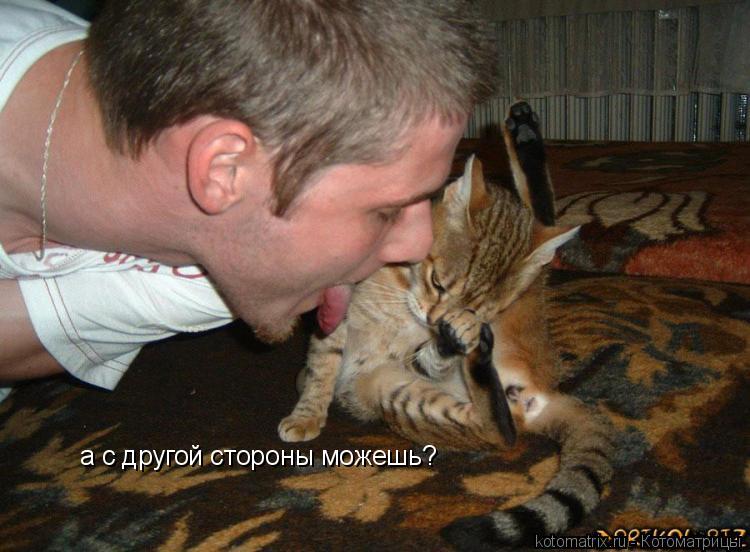 а с другой стороны можешь?... Котоматрица: а с другой стороны можешь?
