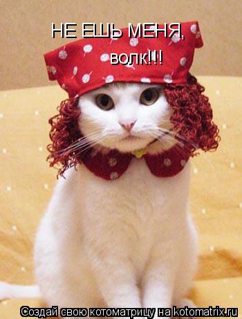 НЕ ЕШЬ МЕНЯ, волк!!!... Котоматрица: НЕ ЕШЬ МЕНЯ, волк!!!