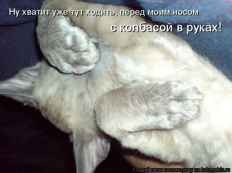 Ну хватит уже тут ходить, перед моим носом с колбасой в руках!... Котоматрица: Ну хватит уже тут ходить, перед моим носом с колбасой в руках!