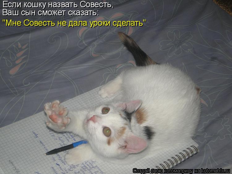 Если кошку назвать Совесть, Ваш сын сможет сказать: "Мне Совесть не дала уроки сделать"... Котоматрица: Если кошку назвать Совесть, Ваш сын сможет сказать: "Мне Совесть не дала уроки сделать"