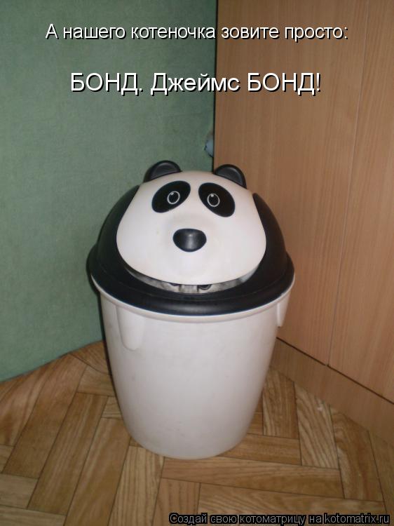 А нашего котеночка зовите просто: БОНД. Джеймс БОНД!... Котоматрица: А нашего котеночка зовите просто: БОНД. Джеймс БОНД!