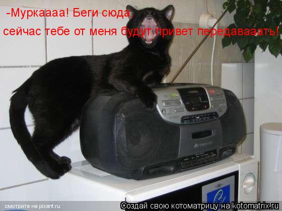 сейчас тебе от меня будут привет передавааать! -Муркаааа! Беги сюда,... Котоматрица: сейчас тебе от меня будут привет передавааать! -Муркаааа! Беги сюда,