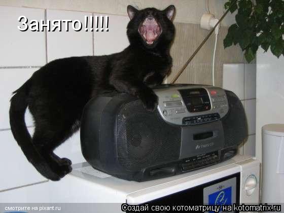 Занято!!!!!... Котоматрица: Занято!!!!!