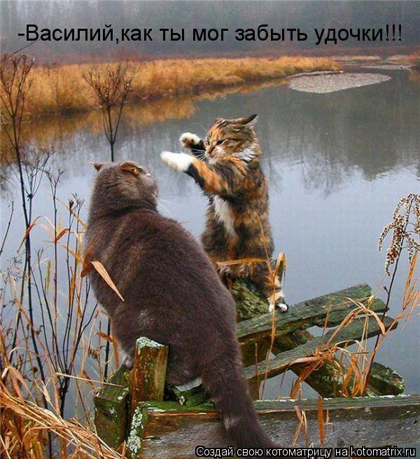 -Василий,как ты мог забыть удочки!!!... Котоматрица: -Василий,как ты мог забыть удочки!!!