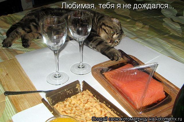 Любимая, тебя я не дождался...... Котоматрица: Любимая, тебя я не дождался...