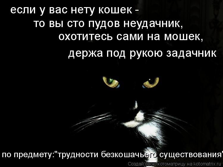 если у вас нету кошек - то вы сто пудов неудачник, охотитесь сами на мошек, держа под рукою задачн... Котоматрица: если у вас нету кошек - то вы сто пудов неудачник, охотитесь сами на мошек, держа под рукою задачник по предмету:"трудности безкошачьего су