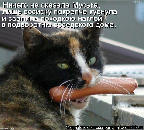 Ничего не сказала Муська, лишь сосиску покрепче куснула и свалила походкою наглой в подворотню соседс... Котоматрица: Ничего не сказала Муська, лишь сосиску покрепче куснула и свалила походкою наглой в подворотню соседского дома.