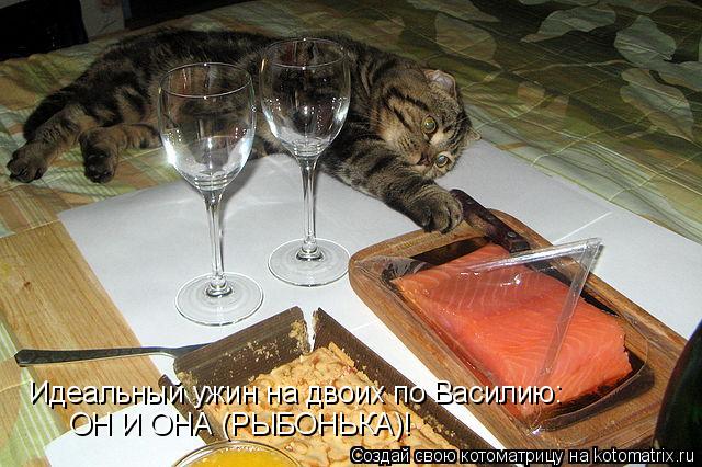 Котоматрица: Идеальный ужин на двоих по Василию: ОН И ОНА (РЫБОНЬКА)!