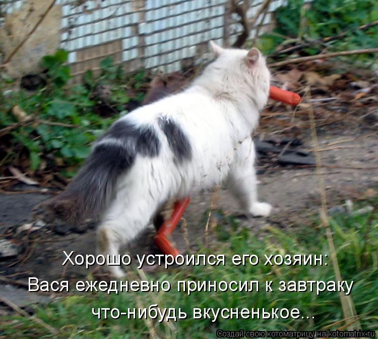 Хорошо устроился его хозяин: Вася ежедневно приносил к завтраку что-нибудь вкусненькое...... Котоматрица: Хорошо устроился его хозяин: Вася ежедневно приносил к завтраку что-нибудь вкусненькое...