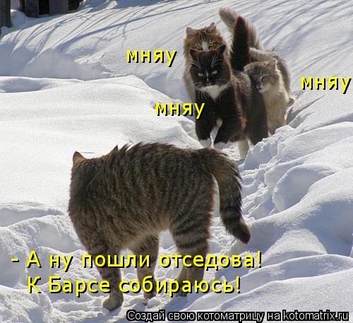 - А ну пошли отседова! К Барсе собираюсь! мняу мняу мняу... Котоматрица: - А ну пошли отседова! К Барсе собираюсь! мняу мняу мняу