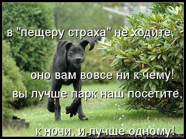 в "пещеру страха" не ходите, оно вам вовсе ни к чему! вы лучше парк наш посетите, к ночи, и лучше о... Котоматрица: в "пещеру страха" не ходите, оно вам вовсе ни к чему! вы лучше парк наш посетите, к ночи, и лучше одному!