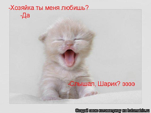 -Хозяйка ты меня любишь? -Да -Слышал, Шарик? ээээ... Котоматрица: -Хозяйка ты меня любишь? -Да -Слышал, Шарик? ээээ