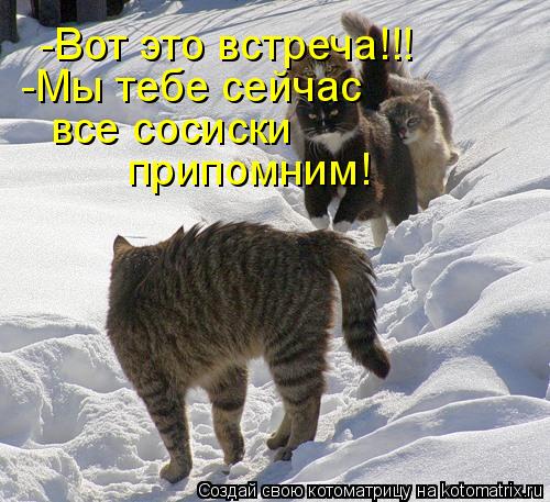 -Вот это встреча!!! -Мы тебе сейчас все сосиски припомним!... Котоматрица: -Вот это встреча!!! -Мы тебе сейчас все сосиски припомним!