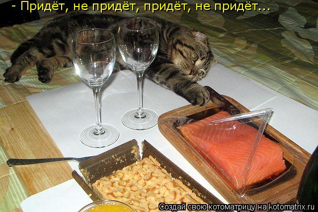 - Придёт, не придёт, придёт, не придёт...... Котоматрица: - Придёт, не придёт, придёт, не придёт...