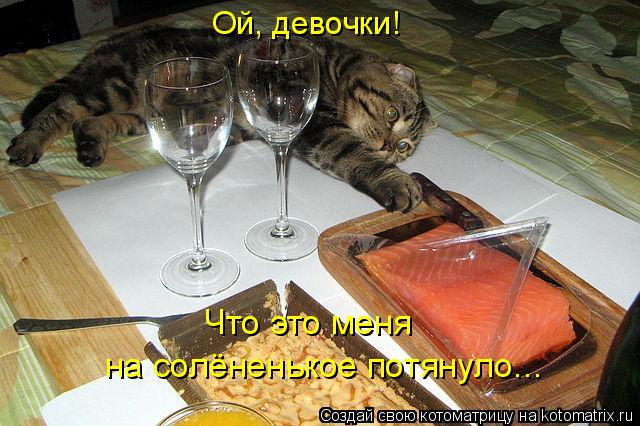 Ой, девочки! Что это меня на солёненькое потянуло...... Котоматрица: Ой, девочки! Что это меня на солёненькое потянуло...
