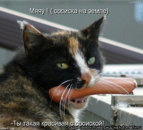 -Ты такая красивая с сосиской! Мяяу ! ( сосиска на земле)... Котоматрица: -Ты такая красивая с сосиской! Мяяу ! ( сосиска на земле)